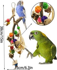 img 2 attached to All-Natural Wood Bird Parrot Toys: Perfect for Small Parakeets, 🦜 Budgies, Macaws, Conures, Finches, Love Birds - Chew, Climb, Swing, and more!