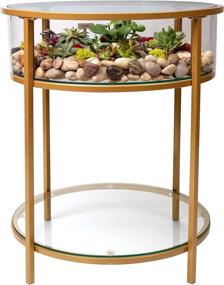 img 3 attached to 🌿 Gold Iron Round Terrarium Display End Table – Reinforced Glass, 20" Diameter, 26.5" Height