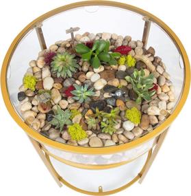 img 2 attached to 🌿 Gold Iron Round Terrarium Display End Table – Reinforced Glass, 20" Diameter, 26.5" Height