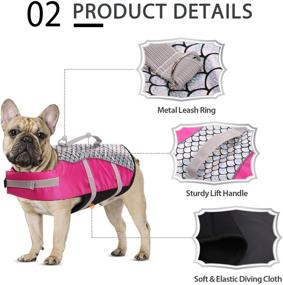 img 2 attached to 🐶 Queenmore Dog Life Jacket: High Floatation Pet Life Vest with Cute Fish Scale Design for Small-Medium Dogs - Perfect for Swimming, Boating, and Canoeing!