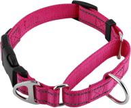 juwow martingale nylon safety training collar with reflective adjustable buckle - heavy duty slip collar for small, medium, large dogs - no-pull training collar for effective training logo