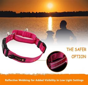 img 1 attached to JuWow Martingale Nylon Safety Training Collar with Reflective Adjustable Buckle - Heavy Duty Slip Collar for Small, Medium, Large Dogs - No-Pull Training Collar for Effective Training