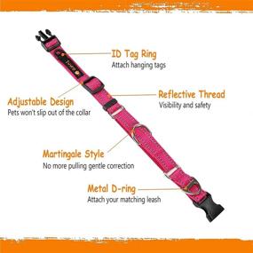 img 3 attached to JuWow Martingale Nylon Safety Training Collar with Reflective Adjustable Buckle - Heavy Duty Slip Collar for Small, Medium, Large Dogs - No-Pull Training Collar for Effective Training