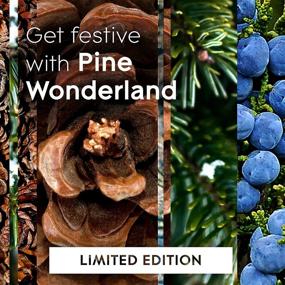 img 2 attached to 🌲 Glade PlugIns Refills Pine Wonderland: Scented Essential Oils for Home and Bathroom, 5-Pack 3.35 fl oz