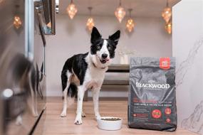 img 1 attached to Premium USA-Made Slow-Cooked Blackwood Dog Food - Natural Dry Dog Food for All Sizes and Breeds, With Resealable Bag for Long-Lasting Freshness