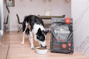 img 2 attached to Premium USA-Made Slow-Cooked Blackwood Dog Food - Natural Dry Dog Food for All Sizes and Breeds, With Resealable Bag for Long-Lasting Freshness