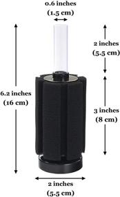 img 1 attached to JOR Betta Sponge Filter - The Ultimate Must-Have for Tropical Fish & Breeder Aquariums: 6x5.5 Inches, 10-25 Gallon Capacity, Perfect for Fry & Small Fish, Underwater Center Aquarium Filter - A Must for Hobbyists!