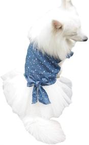 img 3 attached to Платье для крупных собак FLAdorepet Polka Dot Big Large Dog Princess: стильный летний костюм для золотистых ретриверов и питбулей!