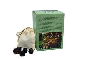 img 4 attached to 🌿 Greenwill Organic De-seeded Soapberry: 1 Pound with Bonus Wash Bag - The Ultimate Natural Laundry Solution