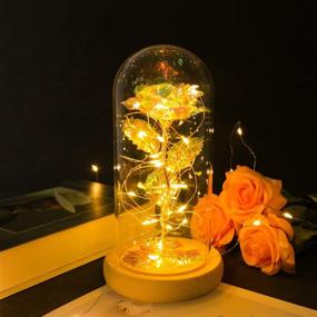 img 3 attached to 🌹 Christmas Rose Gifts for Women: Vibrant Galaxy Rose Rainbow Flower in Glass Dome with LED Light - Perfect Gift Ideas for Her on Valentine's and Mother's Day, Birthday, or any Special Occasion!