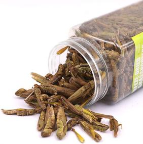 img 4 attached to Premium Sequoia Freeze Dried Grasshopper Reptile Food - 🦗 Ideal for Turtles, Bearded Dragons, Hedgehogs, Lizards, Chameleons, and Birds!