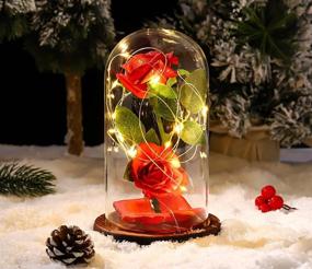 img 3 attached to 🌹 Enchanting Christmas Rose Gift: Beauty and The Beast Rose Kit with Red Silk Rose, LED Light, and Fallen Petals in Glass Dome on Wooden Base for Valentine's Day, Anniversary, Birthday