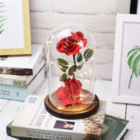 img 2 attached to 🌹 Enchanting Christmas Rose Gift: Beauty and The Beast Rose Kit with Red Silk Rose, LED Light, and Fallen Petals in Glass Dome on Wooden Base for Valentine's Day, Anniversary, Birthday