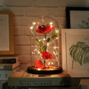 img 4 attached to 🌹 Enchanting Christmas Rose Gift: Beauty and The Beast Rose Kit with Red Silk Rose, LED Light, and Fallen Petals in Glass Dome on Wooden Base for Valentine's Day, Anniversary, Birthday