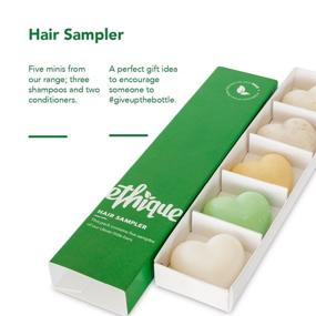 img 2 attached to 🌿 Eco-Friendly Ethique Sampler - Sustainable Beauty Bars for Face and Body, Plastic-Free, Vegan, Compostable, Zero Waste (Hair Sampler)