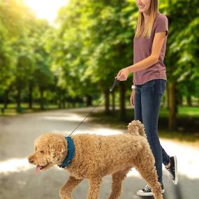 img 2 attached to 🐾 Nite Ize Raddog All-in-One Collar + Leash Combo: Harness the Convenience of a Built-in Retractable Leash for Your Pooch