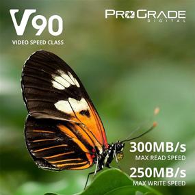 img 3 attached to 📸 Prograde Digital SD UHS-II 128GB Card V90: Fast Write and Read Speeds for Vloggers, Filmmakers, Photographers & Content Curators