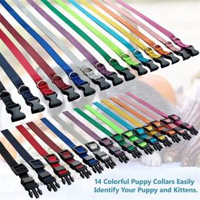 img 1 attached to 🐶 Puppy ID Collars: Soft Nylon Adjustable Breakaway Safety Whelping Litter Collars for Newborn Pets (M) with Record Keeping Charts