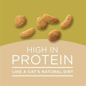 img 2 attached to Purina Cat Chow Naturals Dry Cat Food - 3.15 Pound Bag (Pack of 3): Nutritious & Delicious!