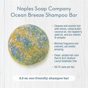 img 1 attached to 🧼 Naples Soap Company Handmade Shampoo Bar + Hair Conditioner Bar Boxed Set: Eco-Friendly Haircare for Nourished & Healthy Hair with an Ocean Breeze