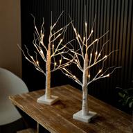 🌳 2-pack led lighted birch tree, 2ft 24” warm white twig tabletop lamp with timer, usb and battery powered fairy light tree for home, christmas, halloween decoration логотип