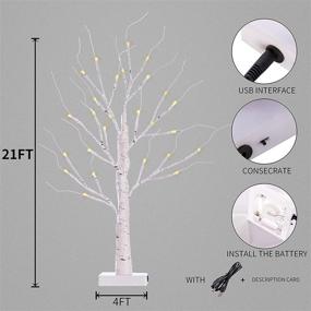 img 2 attached to 🌳 2-Pack LED Lighted Birch Tree, 2ft 24” Warm White Twig Tabletop Lamp with Timer, USB and Battery Powered Fairy Light Tree for Home, Christmas, Halloween Decoration