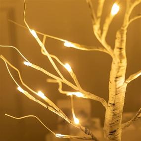 img 1 attached to 🌳 2-Pack LED Lighted Birch Tree, 2ft 24” Warm White Twig Tabletop Lamp with Timer, USB and Battery Powered Fairy Light Tree for Home, Christmas, Halloween Decoration