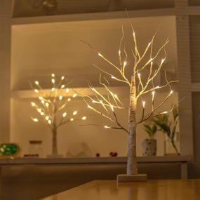 img 3 attached to 🌳 2-Pack LED Lighted Birch Tree, 2ft 24” Warm White Twig Tabletop Lamp with Timer, USB and Battery Powered Fairy Light Tree for Home, Christmas, Halloween Decoration