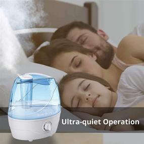 img 3 attached to 🌬️ HemingWeigh 28 Decibel Ultrasonic Humidifier: Safety Protection, Adjustable Mist & Easy to Clean Material - 2.2L Capacity Tank