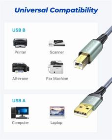 img 3 attached to 🖨️ Высокоскоростной USB-принтерный кабель, 6.6 фута/2 метра USB 2.0 тип A мужской к B мужской сканерный кабель - Никогда не прерывается - Совместим с HP, Canon, Dell, Epson, Lexmark, Xerox и другими