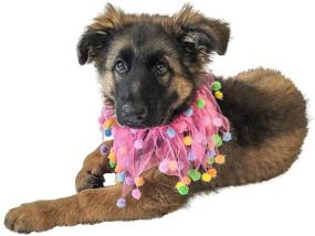 img 1 attached to 🐶 Vibrant Pink Birthday Pom Pom Dog Collar by Midlee - Pawsome Style for Your Furry Friend!