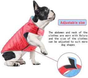 img 1 attached to 🐕 Zero Zoo Dog Winter Coat: Waterproof, Windproof & Reversible Apparel for Small, Medium, Large Dogs - Adjustable Size, Ensures Warmth