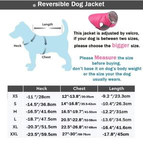 img 3 attached to 🐕 Zero Zoo Dog Winter Coat: Waterproof, Windproof & Reversible Apparel for Small, Medium, Large Dogs - Adjustable Size, Ensures Warmth