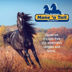 img 2 attached to 🐴 Mane 'n Tail Detangler - Eliminate Tangles and Knots - Refill Gallon