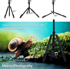 img 2 attached to 📸 YoTilon 76" Aluminum DSLR Camera Tripod with Monopod, 360 Degree Ball Head and Fast Quick Release Plates for Canon, Nikon, Sony, Samsung, Olympus, Panasonic & Pentax - Ideal for Travel and Work