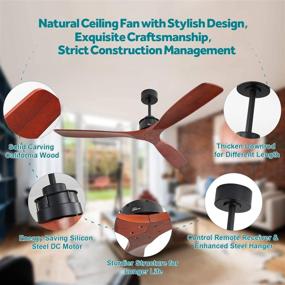 img 3 attached to 🌾 Premium 60" Farmhouse Indoor Ceiling Fan: Remote Control, Solid Wood Blades, Noiseless Motor. Perfect for Kitchen/Patio with 3 Walnut Blades, Oil Matte Black Finish Rod