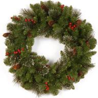 🎄 24-inch national tree company pre-lit artificial christmas wreath - green crestwood spruce, white lights, decorated with pine cones, berry clusters, frosted branches - christmas collection логотип