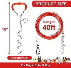 img 3 attached to 🐶 PUPTECK 125lbs Heavy Duty Dog Stake and Cable - 40ft Stainless Steel Wire Rope for Yard - Dog Tie Out with Buffer Spring - Perfect for Beach, Camping, and Outdoor Activities