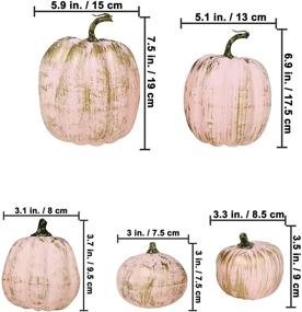 img 3 attached to 🎃 Универсальный набор из 14 штук искусственных золотистых, крашеных в белый и розовый цвет тыкв: Идеальная рустикальная декорация для осеннего стола, загородного дома, свадеб и вечеринок в стиле "Беби-шауэр