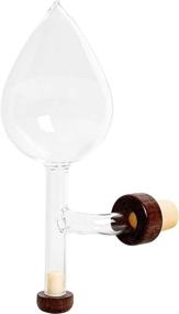 img 1 attached to 🍷 The Wine Savant Wine Aerator and Decanter: Transform Your Wine Experience with Hand Blown Borosilicate Glass