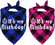 🎂 stmk dog birthday bandana: celebrate your pup's big day with this it’s my birthday plaid triangle scarf in blue & pink логотип