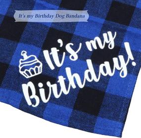 img 3 attached to 🎂 STMK Dog Birthday Bandana: Celebrate Your Pup's Big Day with this It’s My Birthday Plaid Triangle Scarf in Blue & Pink