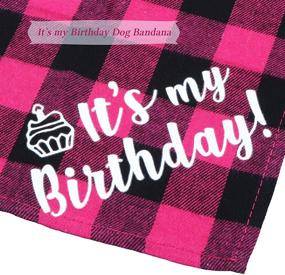 img 2 attached to 🎂 STMK Dog Birthday Bandana: Celebrate Your Pup's Big Day with this It’s My Birthday Plaid Triangle Scarf in Blue & Pink