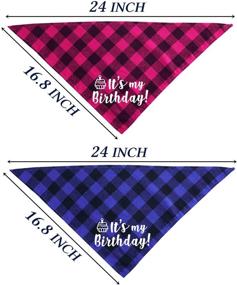 img 1 attached to 🎂 STMK Dog Birthday Bandana: Celebrate Your Pup's Big Day with this It’s My Birthday Plaid Triangle Scarf in Blue & Pink