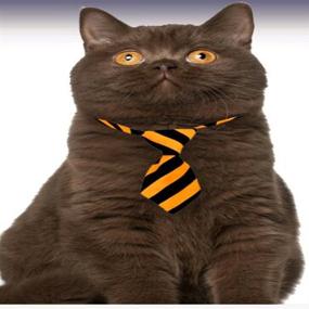 img 1 attached to Lebbeen 10pcs/Pack: Delightful Adjustable Bow Ties for Your Charming Pet Teddy Cat Dog