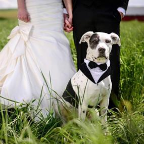 img 3 attached to 🐶 Stylish Formal Tuxedo for Medium Large Dogs - Wedding Pet Bow Tie Suit Dress, Gentleman Attire with Bowtie, Perfect for Husky, Beagle, Samoyed, Hound - Ideal Party Costume Bandana Shirt, 2 Pcs Set