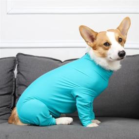 img 3 attached to 🐶 Forthcan Pet Recovery Suit Anxiety Calming Shirt for Dogs - E-Collar Alternative for Dog Wounds Protector, Post Surgery Medical Clothes; Prevents Shedding Hair - Jumpsuit Suit Ideal for Home, Car, and Travel