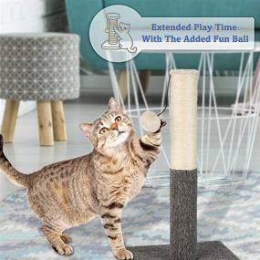 img 2 attached to 🐱 PAWBEE 20” Cat Scratching Post - Sisal Rope Scratcher with Hanging Ball Toy - Stable Base - Ideal Scratching Pole Tower for Small Cats and Kittens