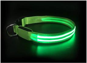 img 2 attached to 🐶 SafetyPet LED Neon Dog Collar: Enhance Nighttime Visibility with USB Rechargeable Option - Choose from 5 Vibrant Colors!