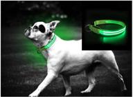 🐶 safetypet led neon dog collar: enhance nighttime visibility with usb rechargeable option - choose from 5 vibrant colors! logo